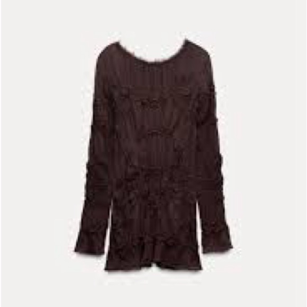 NWOT Zara Brown Oversized Embroidery Shirt Dress